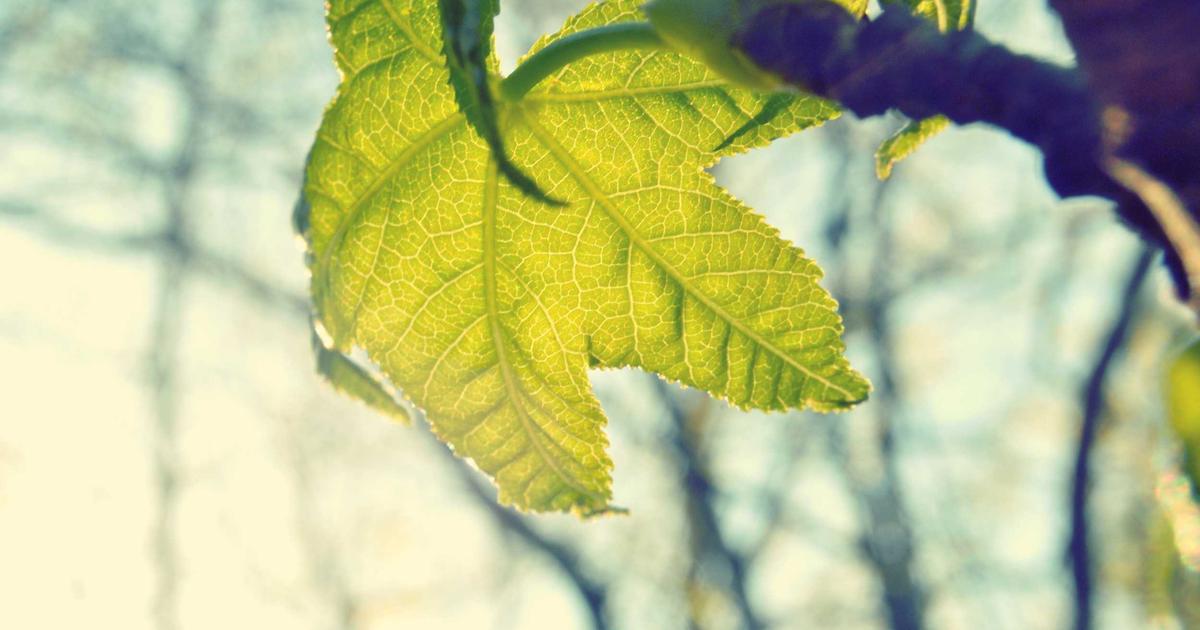 Trade Deadline Deep Dive