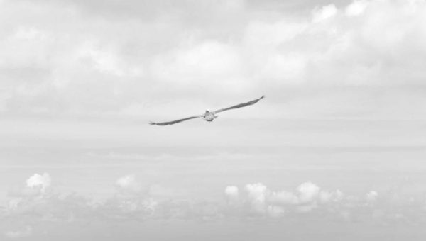 Film Room Friday: Blitz Packages That Work