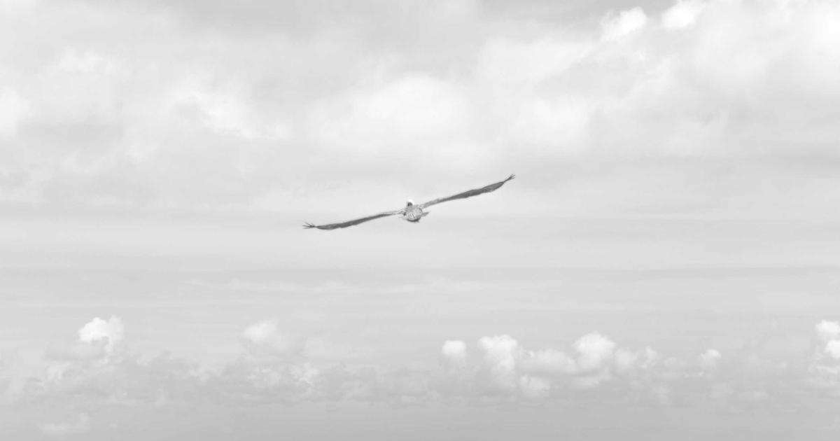 Film Room Friday: Blitz Packages That Work