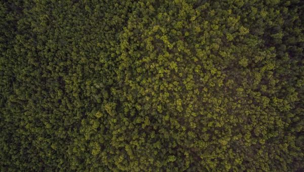 Ep. 52 — Eagles OTA Observations with Zack Halden