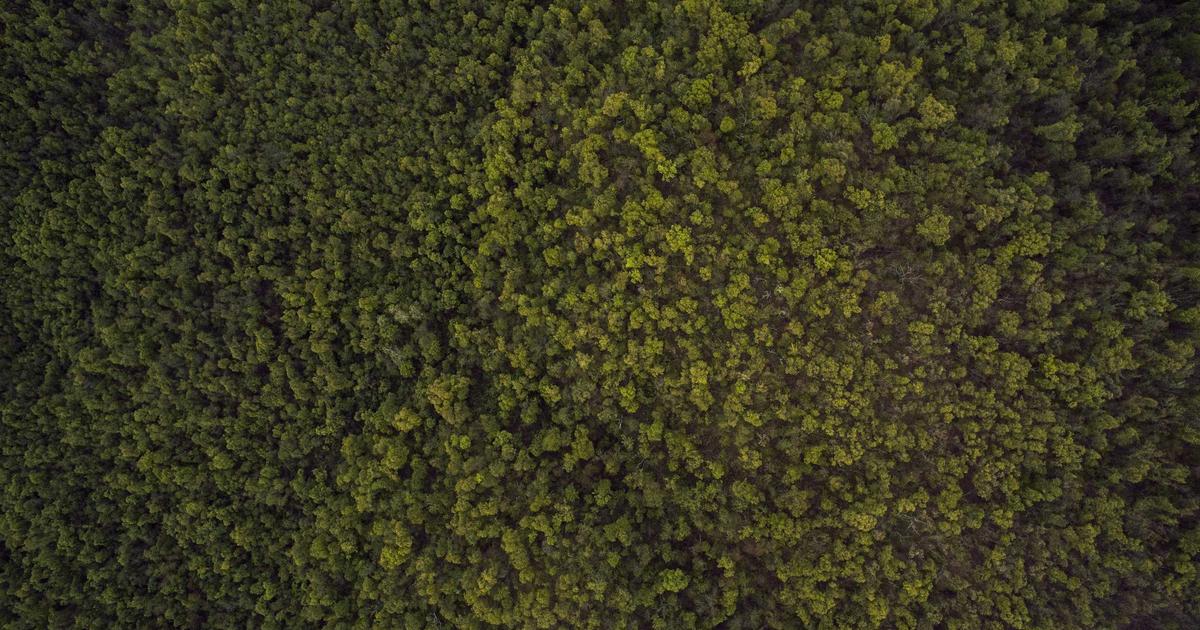 Ep. 52 — Eagles OTA Observations with Zack Halden