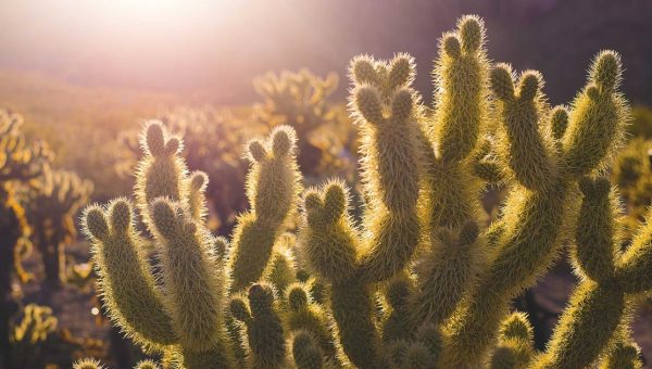 Film Room: Flyers’ New Power Play — What Changed and Why