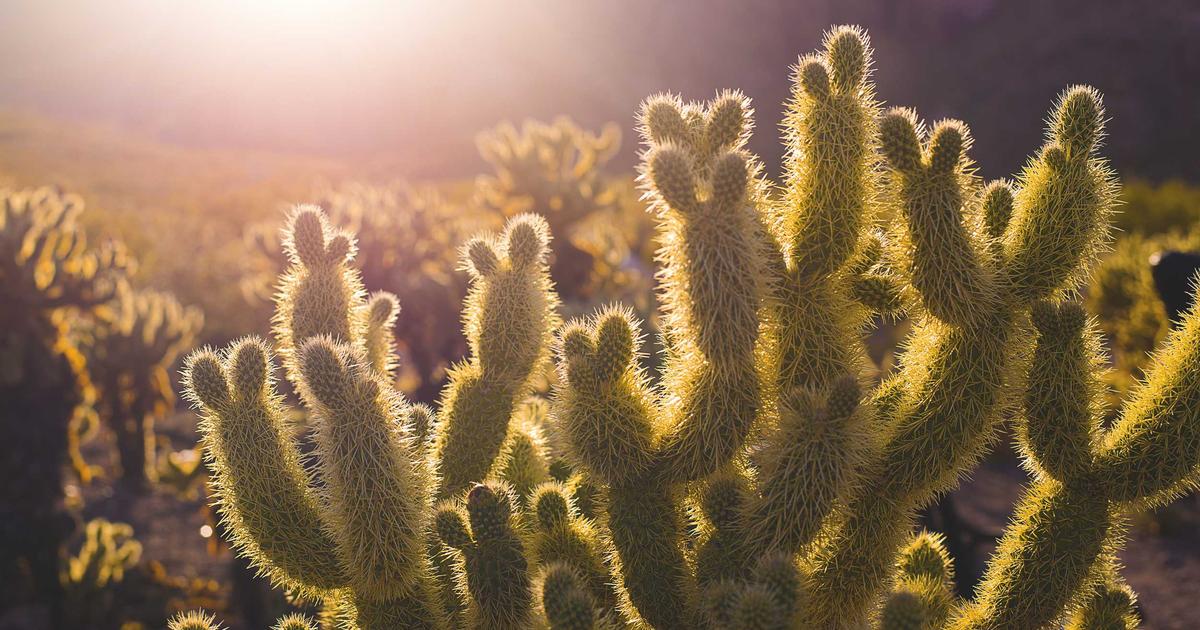 Film Room: Flyers’ New Power Play — What Changed and Why