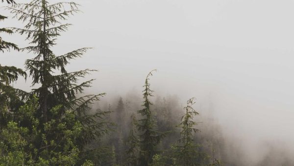 Trust the Process: Where Are They Now?