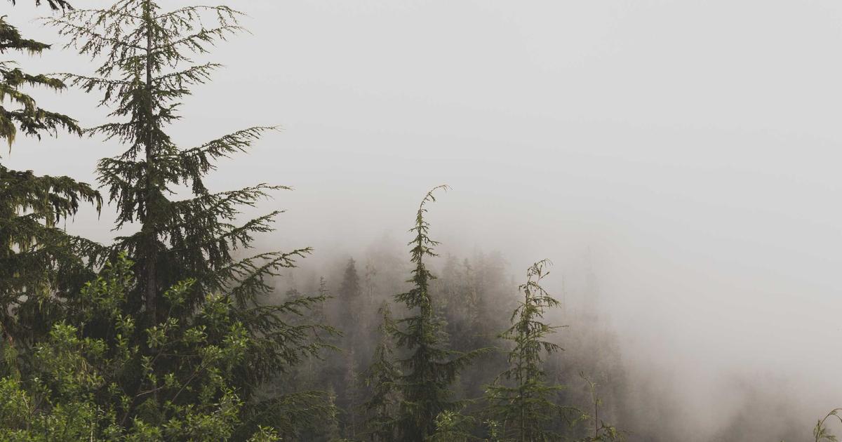 Trust the Process: Where Are They Now?