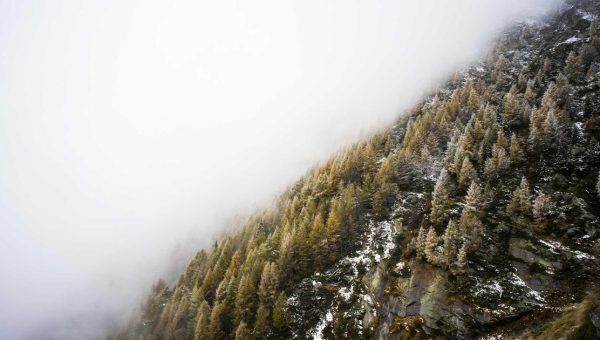 Broad Street Bullies to Beautiful Hockey