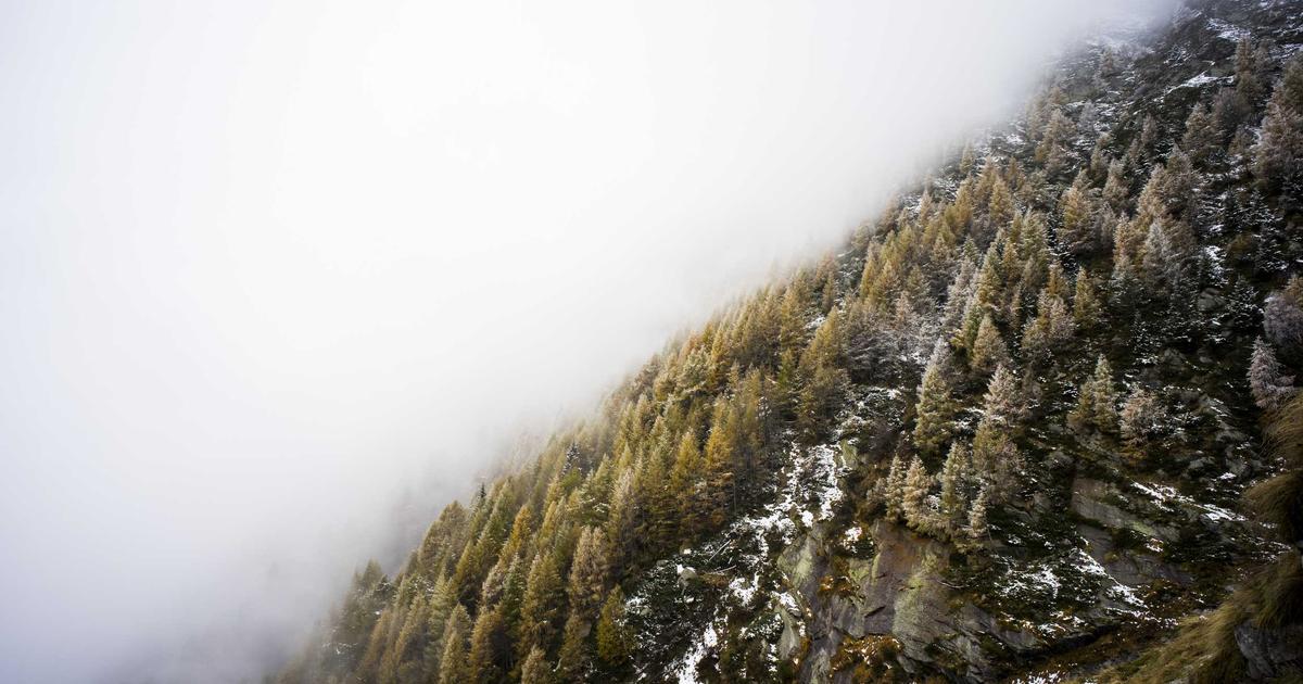 Broad Street Bullies to Beautiful Hockey