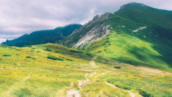 Super Bowl Hangover or Reload?