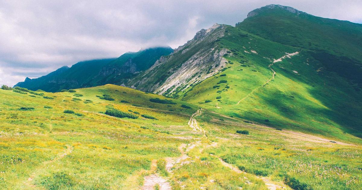 Super Bowl Hangover or Reload?